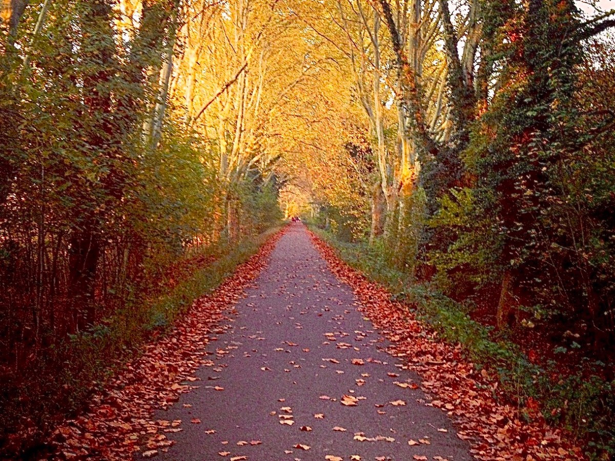 Walk around in Strasbourg: parc de&nbsp;Pourtalès