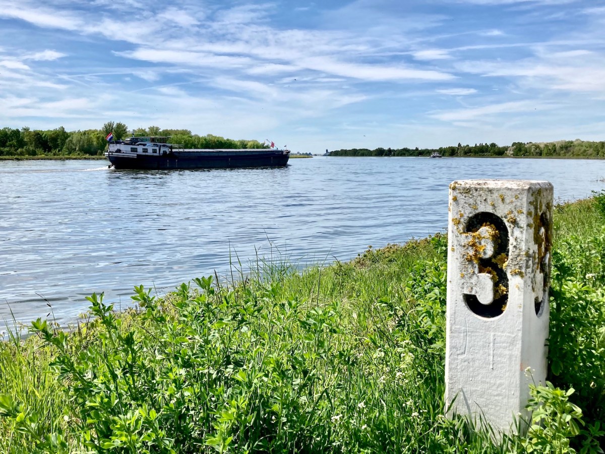 A walk in the forest and along the Rhine: La&nbsp;Wantzenau